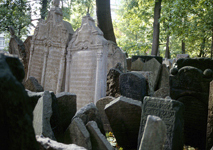 Photo prag_jüdischer friedhof_01